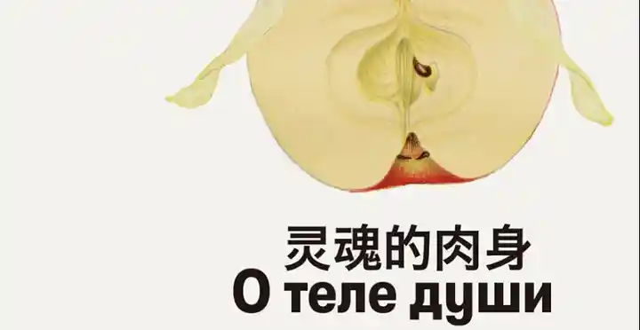 灵魂的肉身