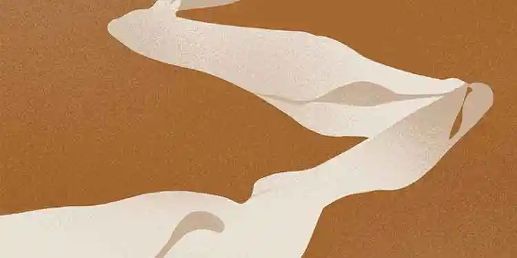 统治的逻辑：5000 年人类政治博弈史